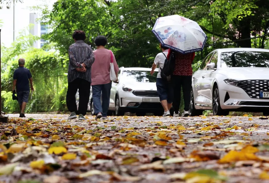 เกาหลีใต้จับตาลานีญา คาดฝนชุกช่วงต้นฤดูใบไม้ร่วงและอาจหนาวเร็วกว่าปกติ