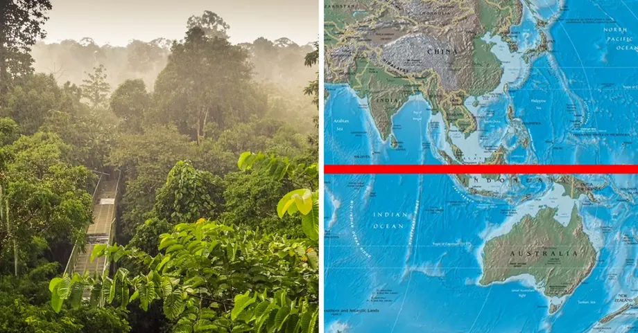 เหตุใดป่าฝนของมาเลเซียจึงเป็นหนึ่งในระบบนิเวศที่เก่าแก่ที่สุดบนโลก