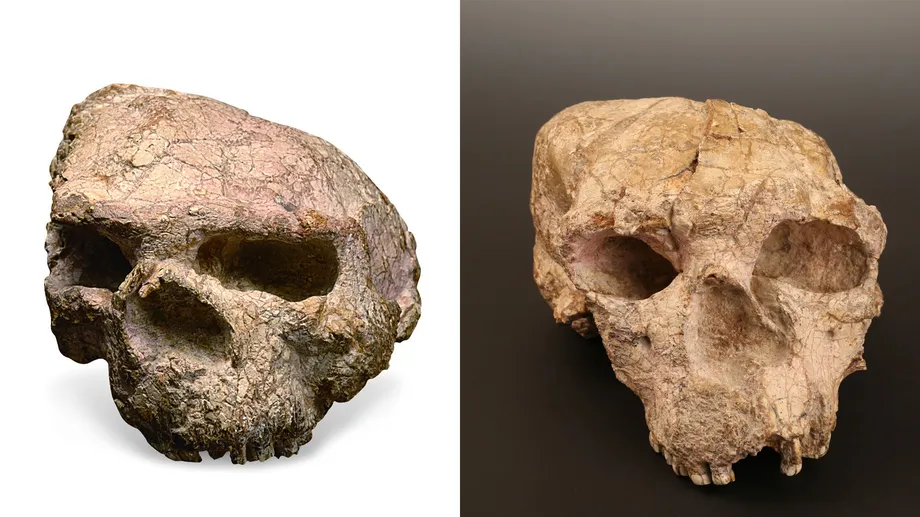 China restores appearance of million-year-old 'Yunxian Man' fossil - CGTN