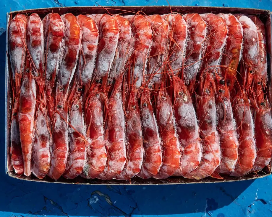 สืบพบวิกฤตกุ้งปนเปื้อนกัมมันตรังสีในอินโดนีเซีย ต้นตอซีเซียมจากเขตอุตสาหกรรม