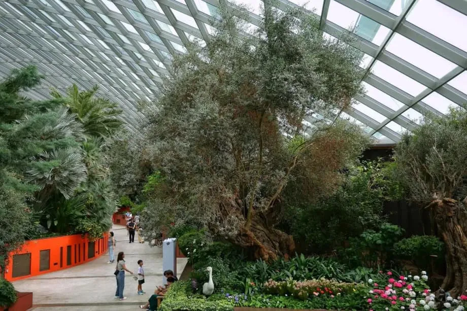10 สถานที่น่าไปในสิงคโปร์ ที่เปลี่ยนทริปครอบครัวให้เป็นการเรียนรู้