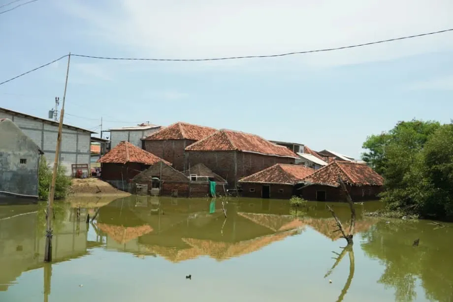 เจาะแผนกำแพงกันคลื่นยักษ์ของอินโดนีเซีย เพื่อปกป้องชายฝั่งตอนเหนือของเกาะชวา