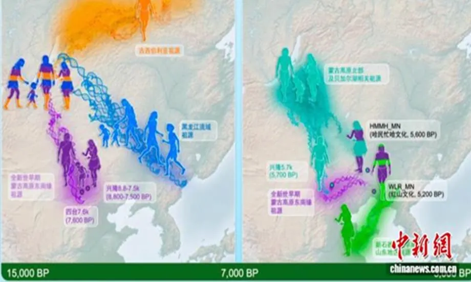 ดีเอ็นเอโบราณเขียนประวัติศาสตร์เอเชียตะวันออกยุคก่อนประวัติศาสตร์ขึ้นใหม่ เผยสังคมที่มีครอบครัวเป็นศูนย์กลางตั้งแต่ยุคแรก