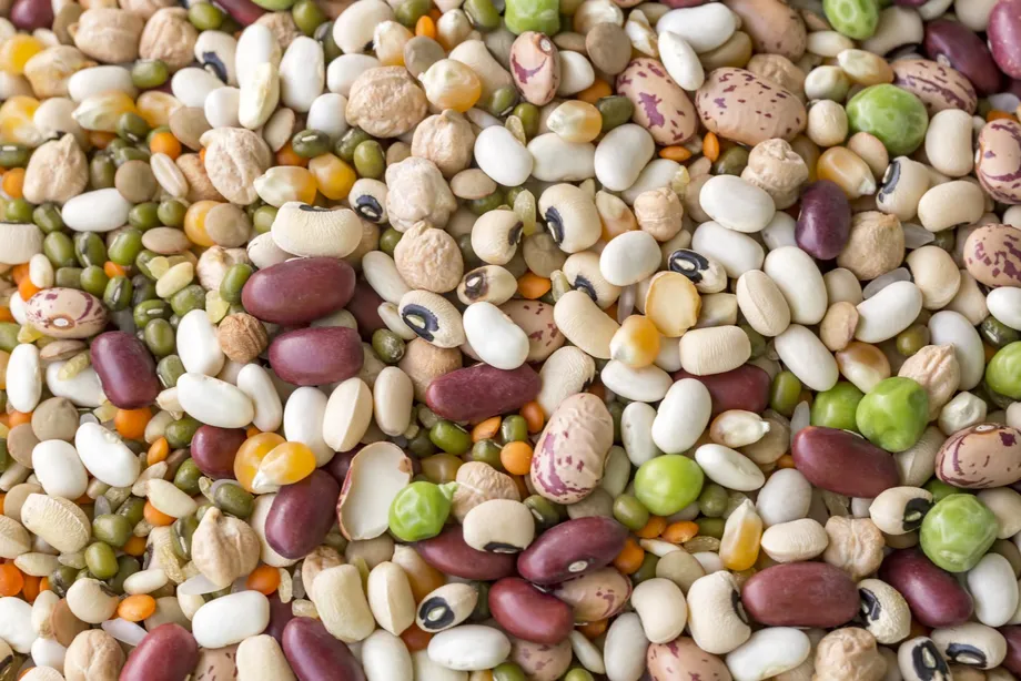 Democrats Seek Answers on UPOV 1991 as Thailand Debates Farmers' Seed Rights