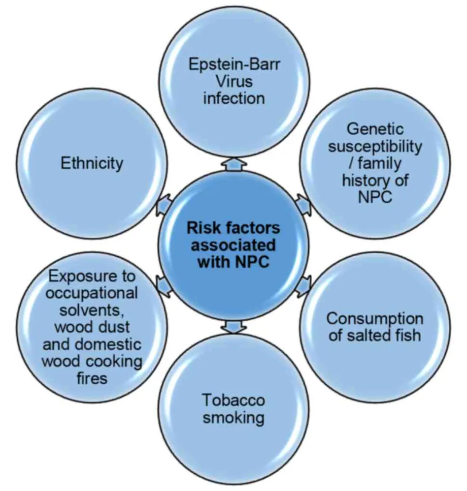 Bidayuh Cancer Rates Remain Among World's Highest as Sarawak Faces Late Diagnosis