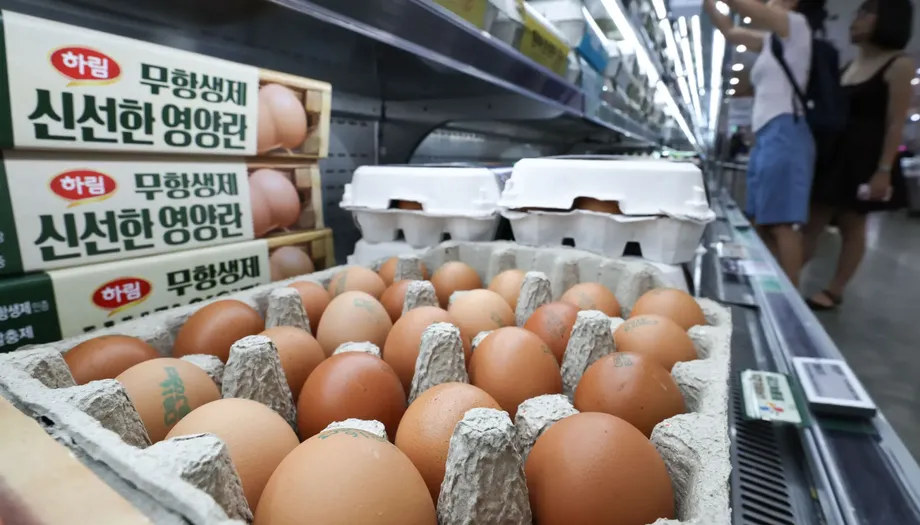 South Korea's Brazilian Egg Imports Face Scrutiny Over Costs and ₩120 Billion Support Budget