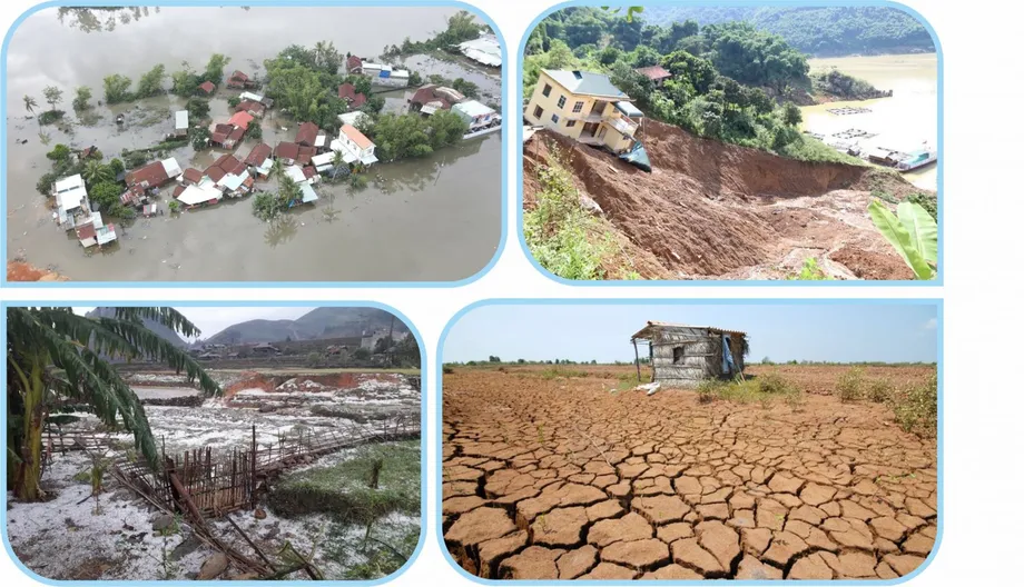 Vietnam Climate Scenarios Warn of Rice Losses, Dangerous Heat and Rising Coastal Risks