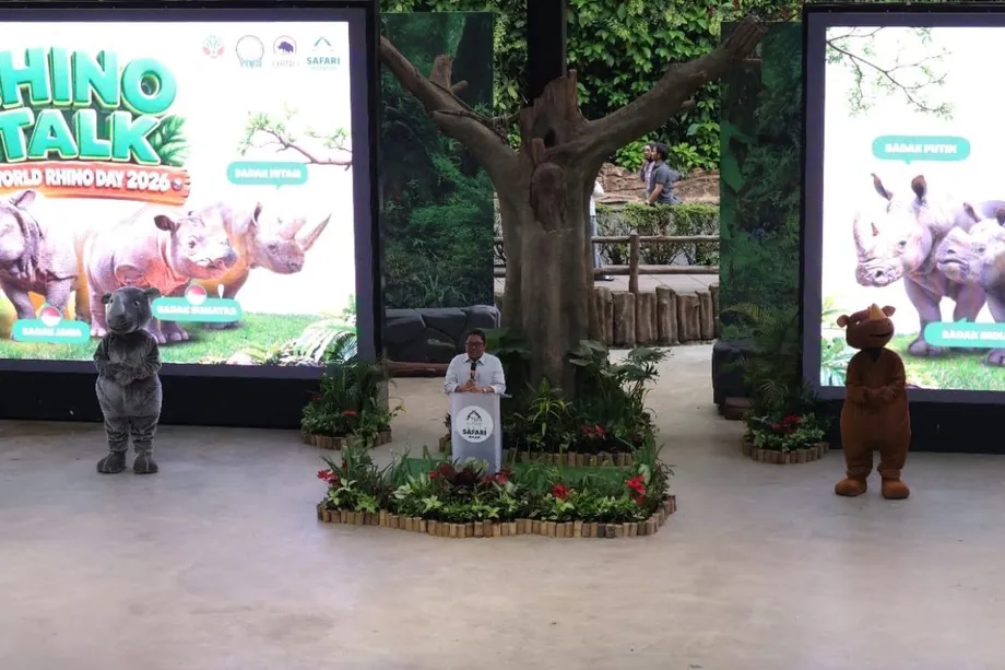 Two Sumatran Rhino Pregnancies Bring Hope as Closely Related Mates Expose Genetic Limits
