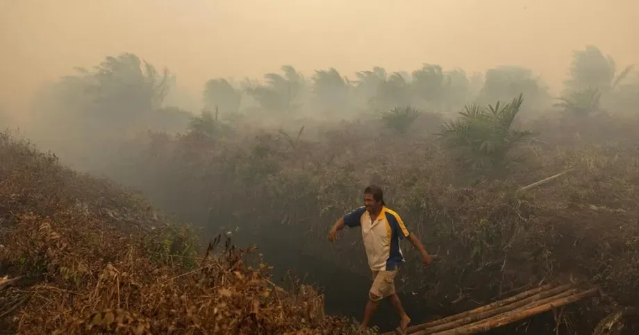 Singapore Weighs Haze Action as Greenpeace Links Palm Oil Groups to Indonesian Fires
